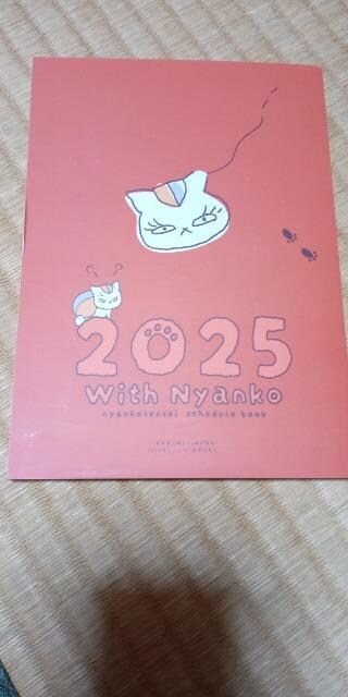 ĖڗFljR搶XPW[2025
