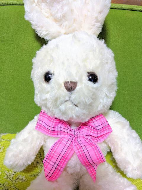 レトロ ぬいぐるみ HIROKUN HOUSE こあら　ヒロクンハウス Amazon.co.jp: レトロ 特大 ヒロクンハウス ぬいぐるみ たぬき