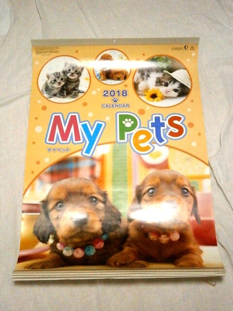 2018 mypet  L J_[ gp   zr[ 