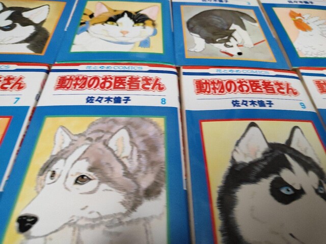 ̂҂ AWFN S Zbg  Aj/R~bN/LN^[ 