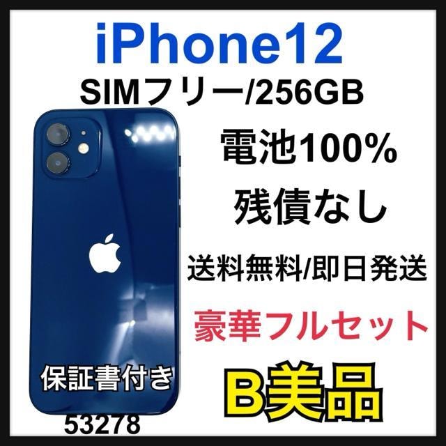 B 100% iPhone 12 256 GB SIMt[ u[@{   Ɠd/AV 