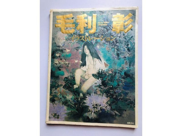 ї CXg[V 1991N ԏX W  Akira Mohri Illustration Tokuma   Q[{/\tg 