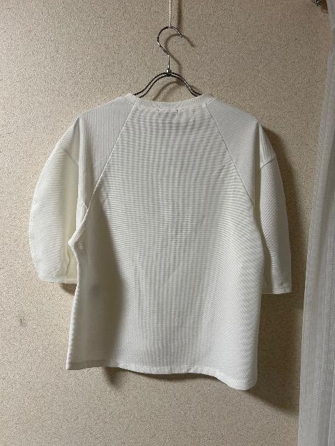 1Vi^OtINDIVI[ӂ葳vI[o[