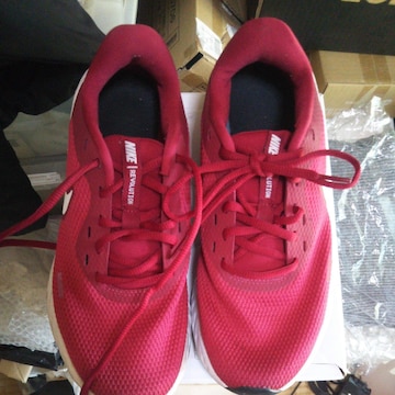NIKE REVOLUTION US7 25p YXj[J[ bh  iCLXj[J[ jOXj[J[