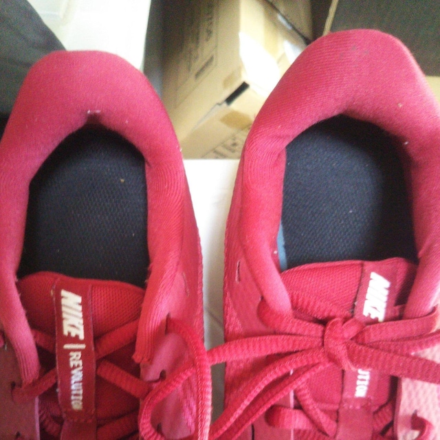 NIKE REVOLUTION US7 25p YXj[J[ bh  iCLXj[J[ jOXj[J[  jt@bV 