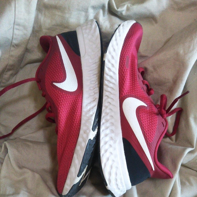 NIKE REVOLUTION US7 25p YXj[J[ bh  iCLXj[J[ jOXj[J[  jt@bV 
