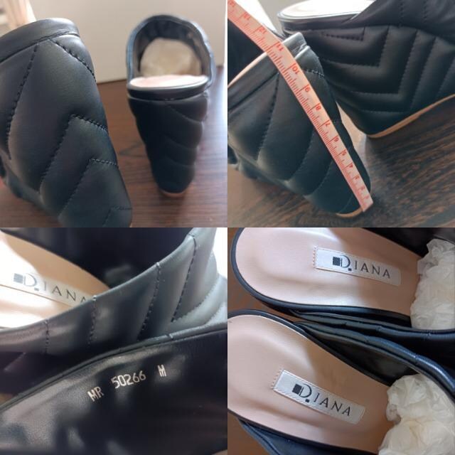 DIANA_炩LeBO.EFbWq[T_VilrX^CAbvSnQ₷_CAi