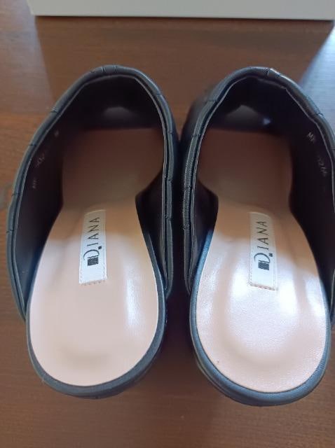 DIANA_炩LeBO.EFbWq[T_VilrX^CAbvSnQ₷_CAi