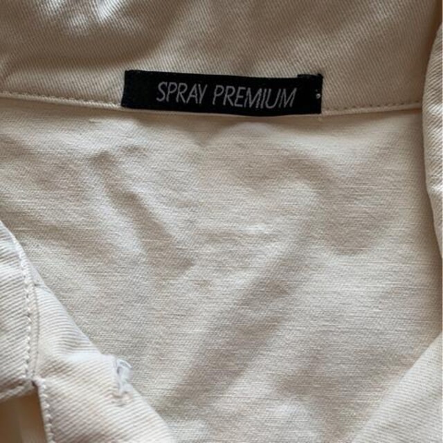 SPRAY  PREMIUM  GW t[TCY  uh 