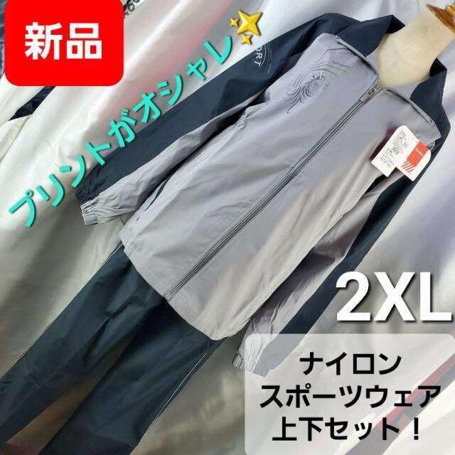 ݁ViSPORTiCX|[cEFA㉺Zbg2XL 
