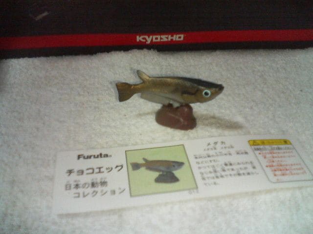 t^  {̓1  _J   zr[ 