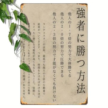 790~Be[W{^ʃTC - XeBbNȕǏAfBXgXgdグi20cm x 30cmj