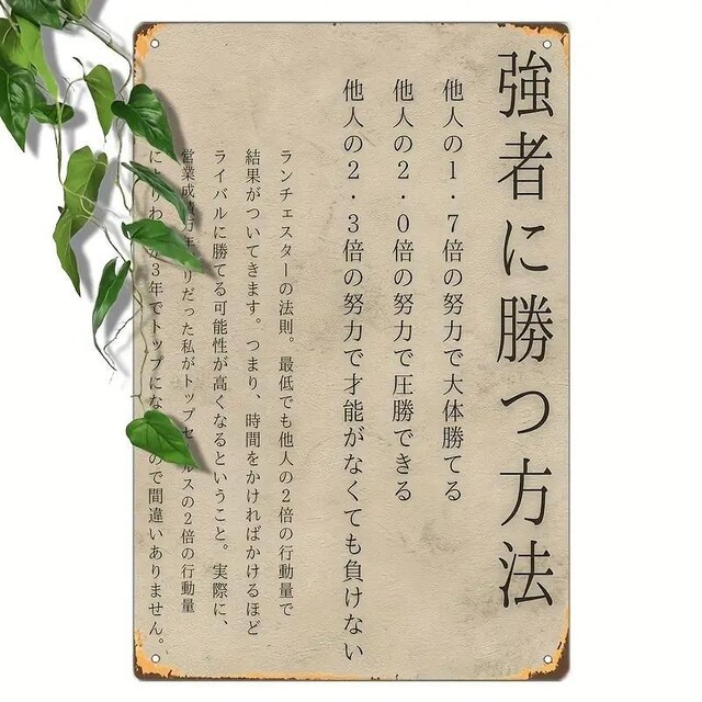 790~Be[W{^ʃTC - XeBbNȕǏAfBXgXgdグi20cm x 30cmj 
