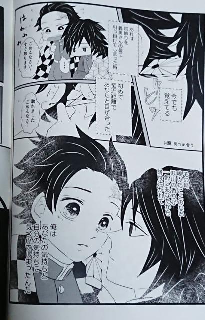 鬼滅の刃同人誌「瞬き～義炭web再録集～」冨岡義勇×竈門炭治郎