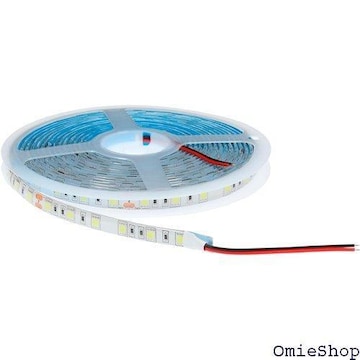Takenous gbNYpB | led  gbNp[c e[vCg gbN ACXu[ 732
