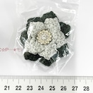 29*nhCh|CZ`Aԃ`[t@KXrW[@9