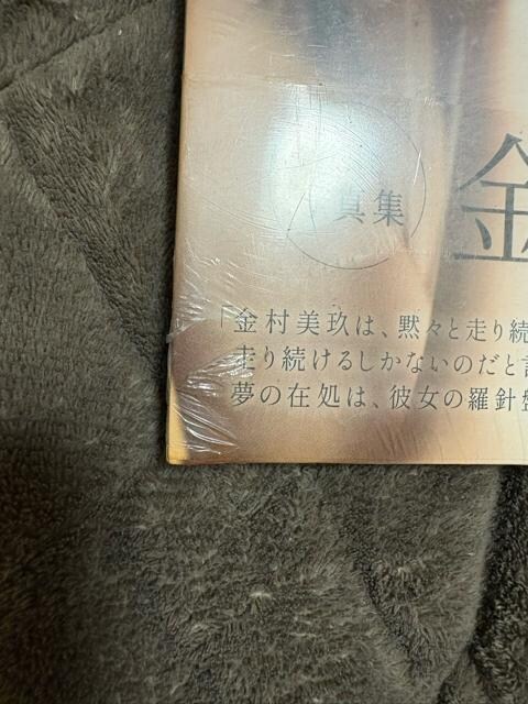 ^Xi@ViJ@݁@46 肳ʐ^W  ^gObY 