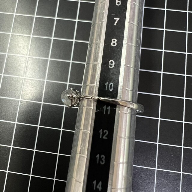 A227 w fB[X [Xg[ O s925 Vo[ ׂ t[TCY TCY߉\  ANZT[/v 