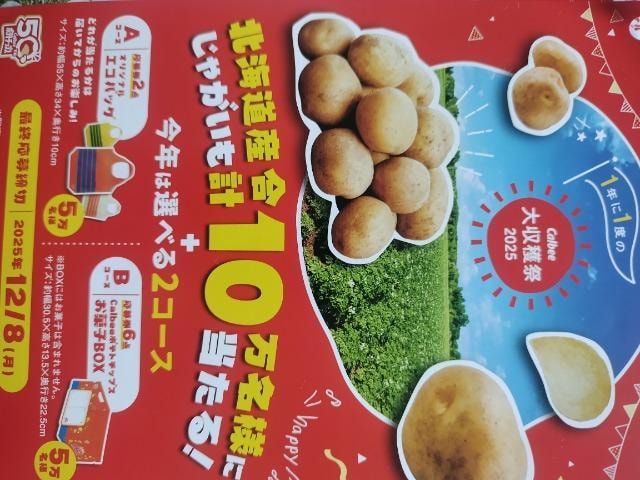 Calbee(Jr[)  2025  Jr[Ly[  n  匔 7_(4_{3_)   `Pbg/ 