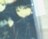 ްײ۲&ػ&ѽݸ
