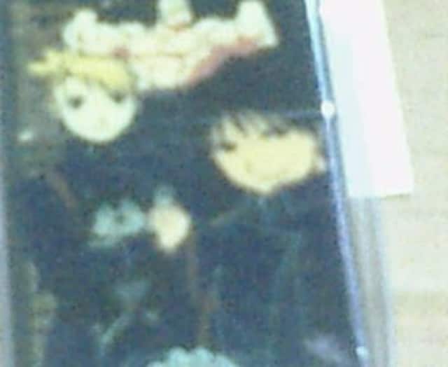 Vo[ICC^[C&U&A[XgO  Aj/R~bN/LN^[ 