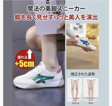 AOKOWN fB[XXj[J[  ؍ ʋ ʊwC JWAV[Y