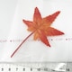 10*݂́@18