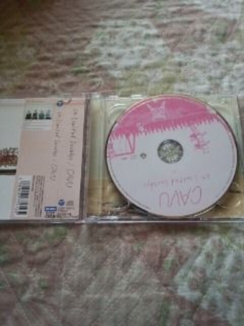 󏭁04 limited sazabys CAVU Ł  ^gObY 
