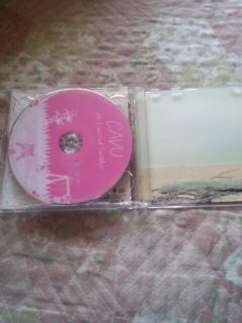 󏭁04 limited sazabys CAVU Ł  ^gObY 