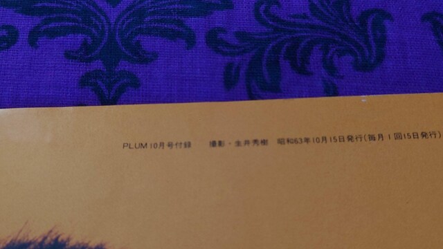 vۓcL@̂̃|X^[@a63N@PLUMt^  ^gObY 