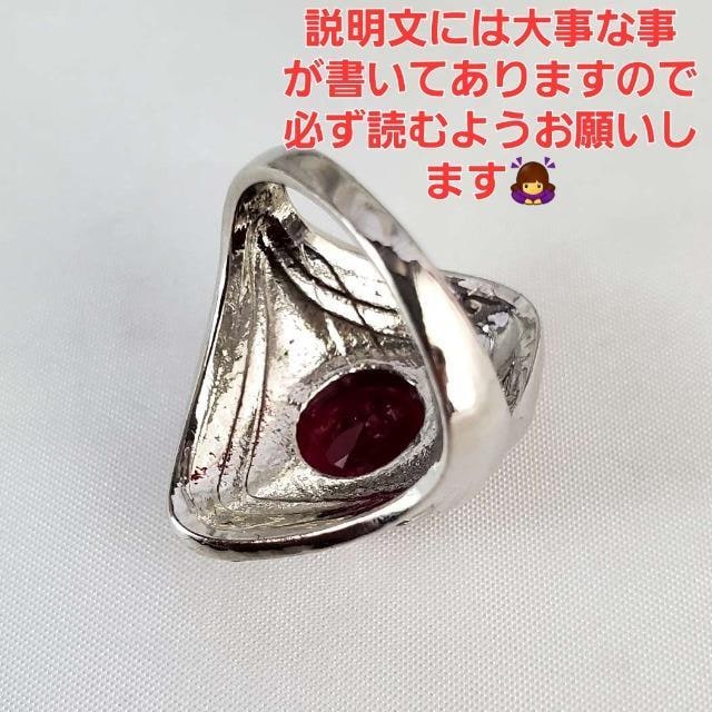 ݁؁Ibhȉ~`L[rbNWRjAO/wց18-19  ANZT[/v 