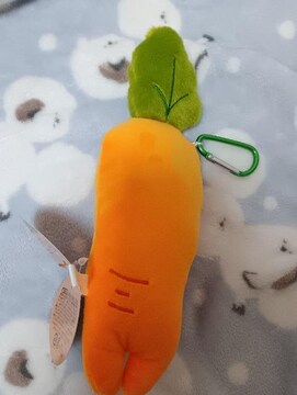 ƂԂԂ邷lQ̂ʂ݁H