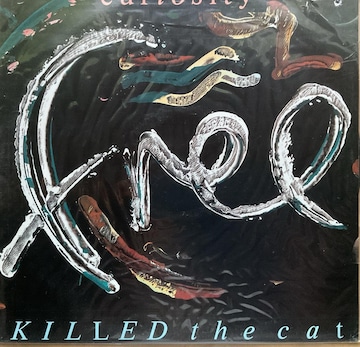 KILLED the cat / curiosity