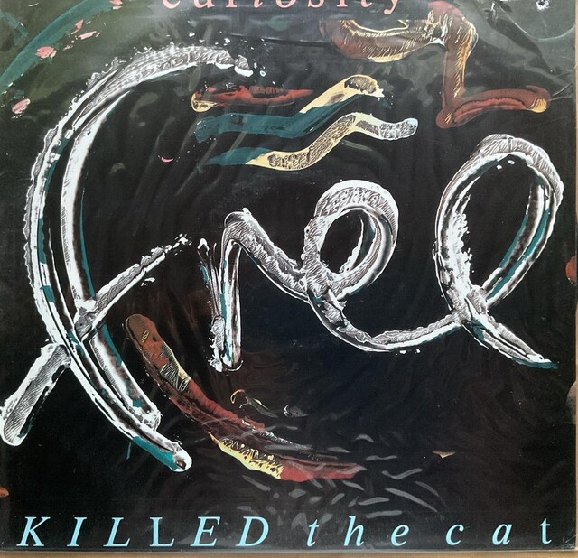 KILLED the cat / curiosity   CD/DVD/rfI 