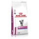 ROYAL CANIN Lp tT|[gXyV hCt[h 500g
