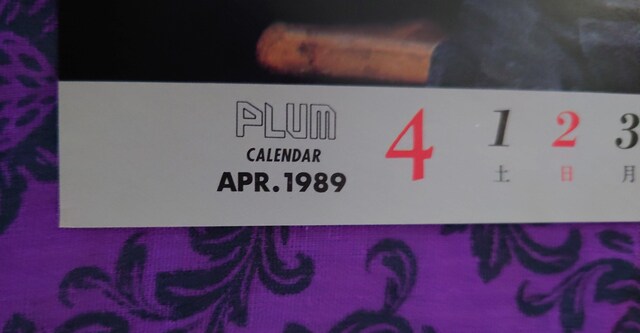 LA-PPISCH@sbV̂̃|X^[@1N@PLUMt^  ^gObY 