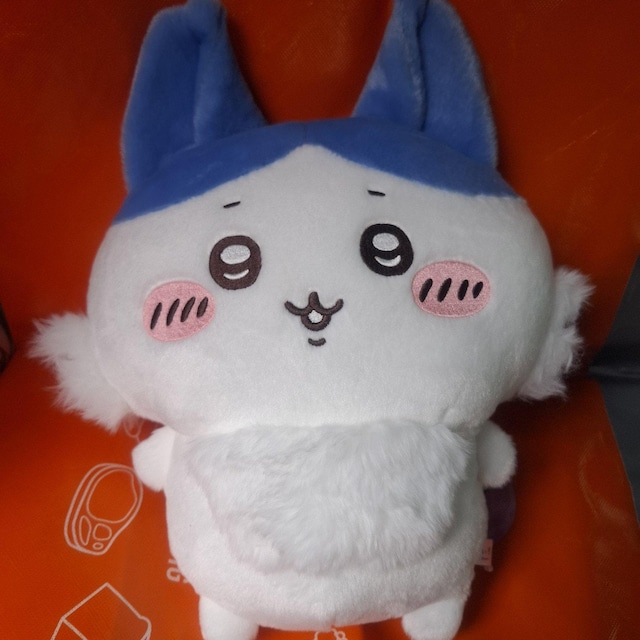 yVigpz p[hIHBIGʂ݁yvCYiz   