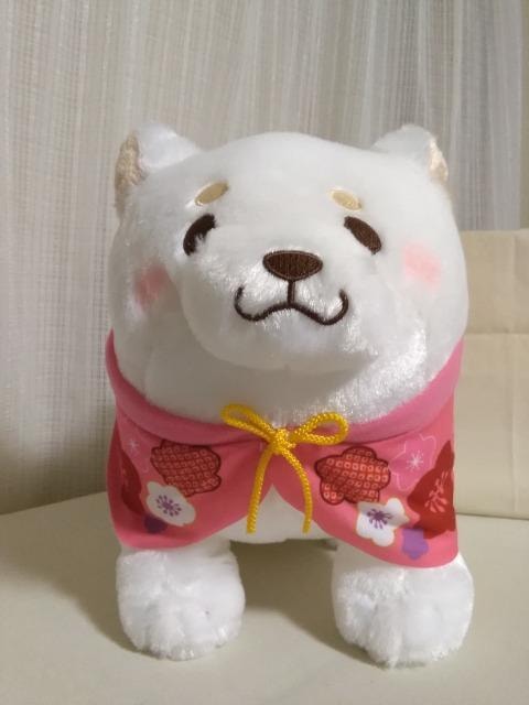 ΁@Ղ藁BIGʂ݁@ 