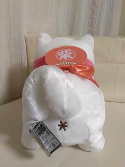 ΁@Ղ藁BIGʂ݁@
