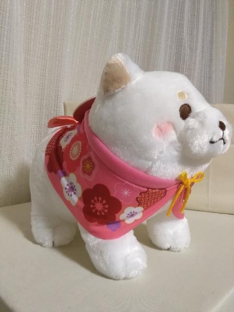 ΁@Ղ藁BIGʂ݁@
