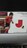 2008 杉本恵太 ジャージカード