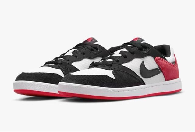 NIKE SB AE[v   W[/X|[c 
