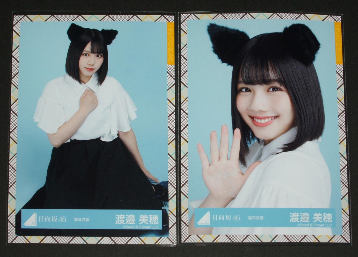 渡邉美穂 猫耳コンプ 日向坂46 生写真4枚コンプ 渡邉美穂 猫耳衣装:乃木坂46>写真