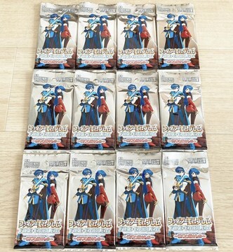 t@CA[Gu TCG J[hQ[ 5e ͂p u[X^[ 12P