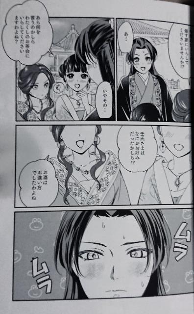 薬屋のひとりごと同人誌《壬氏×猫猫》2冊セット | アニメ