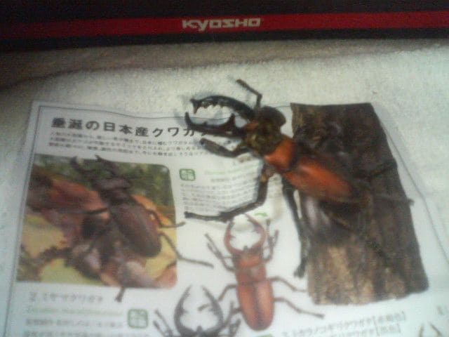 K`    ~}NK^  Cm   zr[ 