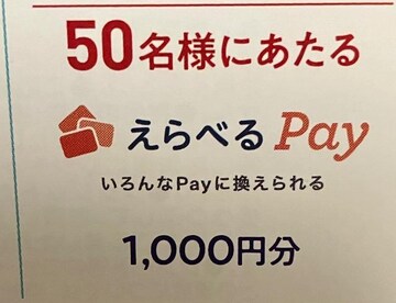 ^CAbvIׂpay1000~/50l5