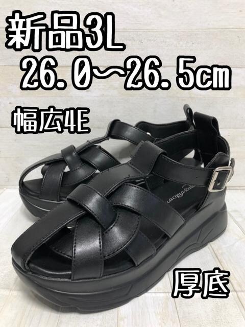Vi3L26.0cm26.5cm4ET_OJT_D777   t@bV 