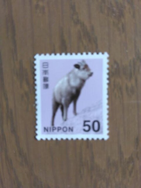 gp@ʐ؎50~1  
