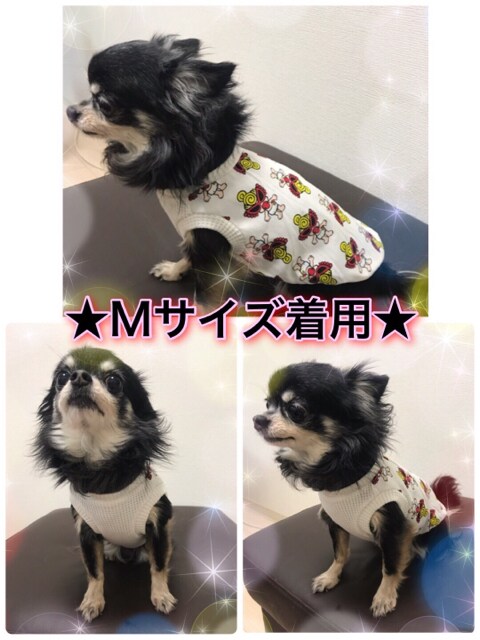 nhCh@_btB[tY@Vc@TDS @L
